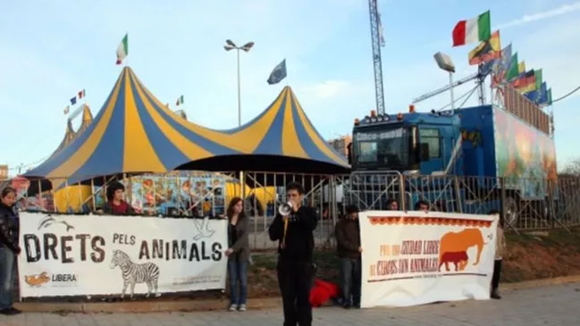 Imatge d'arxiu d'activistes de Libera protestant davant d'un circ a Sabadell contra el tracte que reben els animals./ ACN